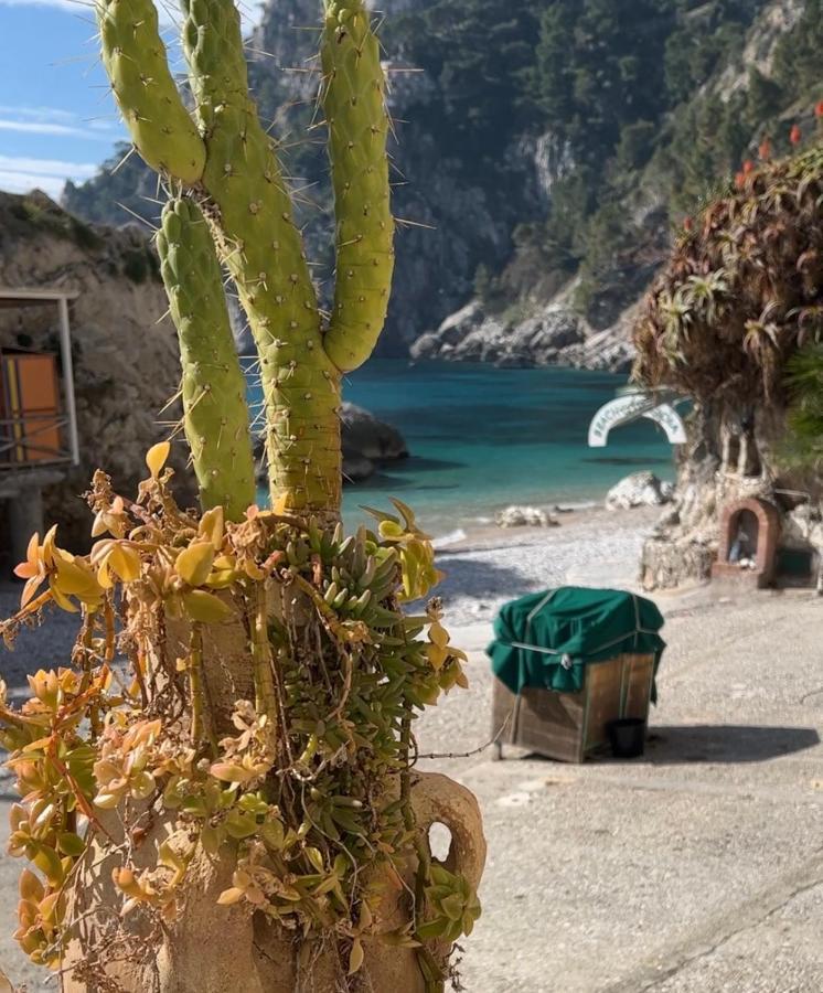 Capri Magic House On The Beach Exteriör bild