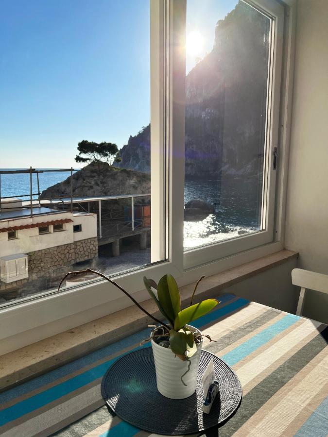 Capri Magic House On The Beach Exteriör bild